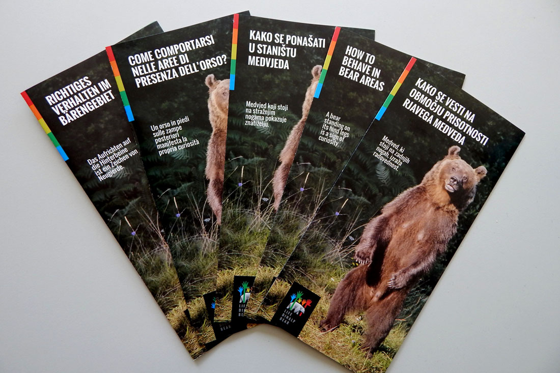 mroz-life-dinalp-bear-04